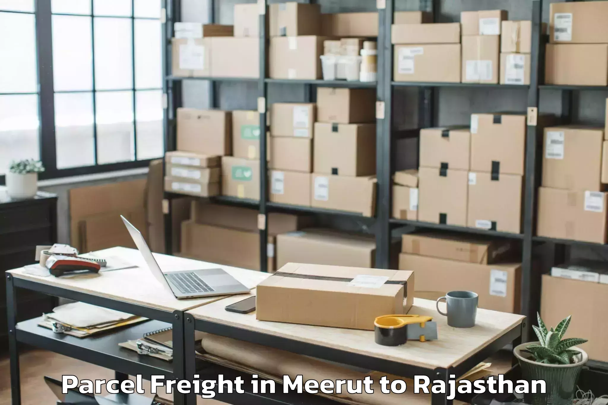 Top Meerut to Kapasan Parcel Freight Available